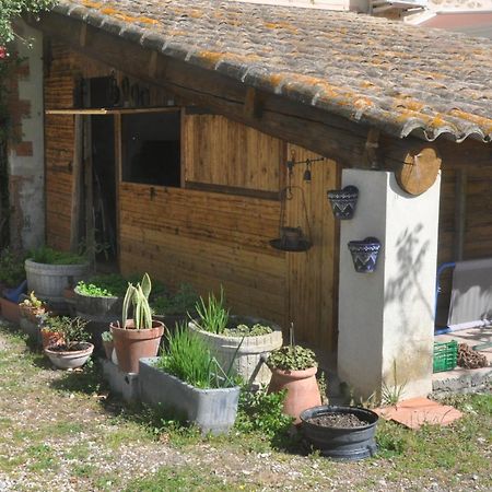 Hotel La Ferme De Tonton Jules 2 Entraigues-sur-la-Sorgue Exterior foto